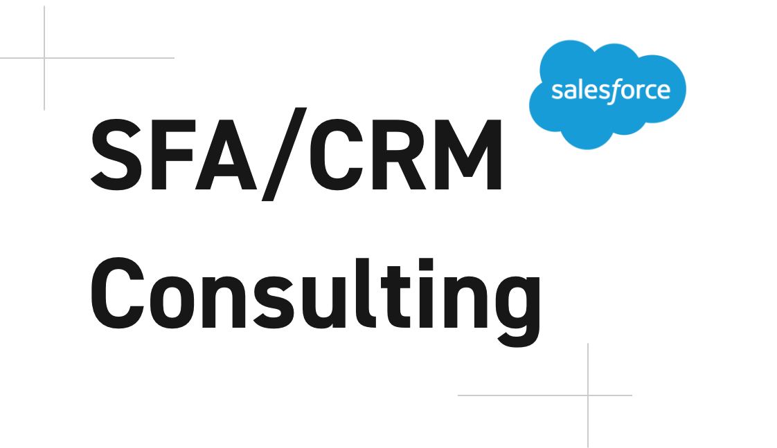 SFA/CRM Consulting